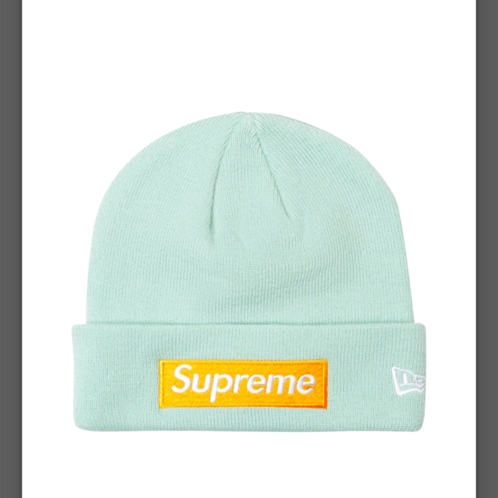 Supreme new era ice bogo beanie
